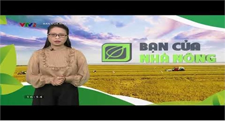 Chuyên mục bạn nhà nông: Làm phân ủ hữu cơ vi sinh