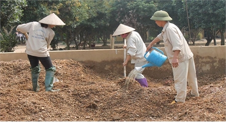 Văn Yên: Liên kết để phát triển bền vững cây sắn